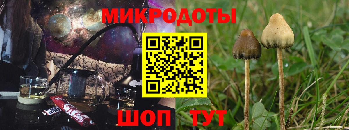 Кингисепп  Галлюциногенные грибы прущие грибы  где продают наркотики  Вход с VPN 