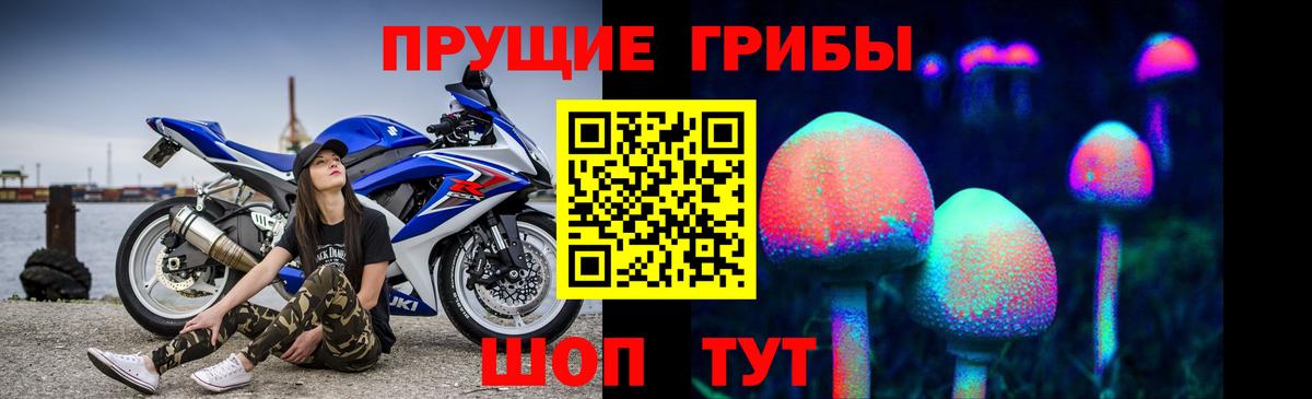 Галлюциногенные грибы мицелий Кингисепп